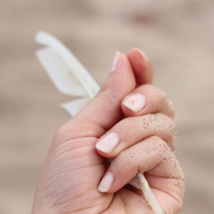 Beauty Salon - Biosculpture Gel Nails - French Manicure